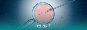 etapas da fertilização in vitro