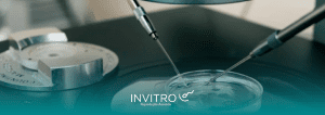 riscos e benefícios da fertilização in vitro
