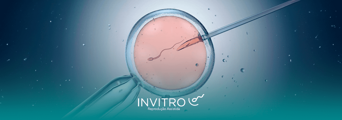 etapas da fertilização in vitro